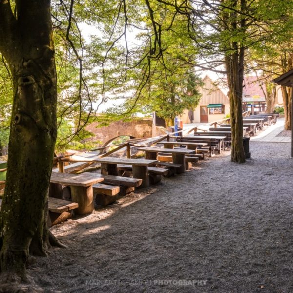 burgguttenberg-biergarten-c_marcel-tschamke-min-1030x688